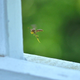 Image for article titled Shooting Challenge: 1/1000 Gallery 2